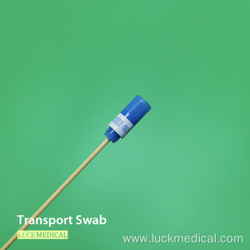 Transport Swab Wooden Stick Cotton Tip FDA